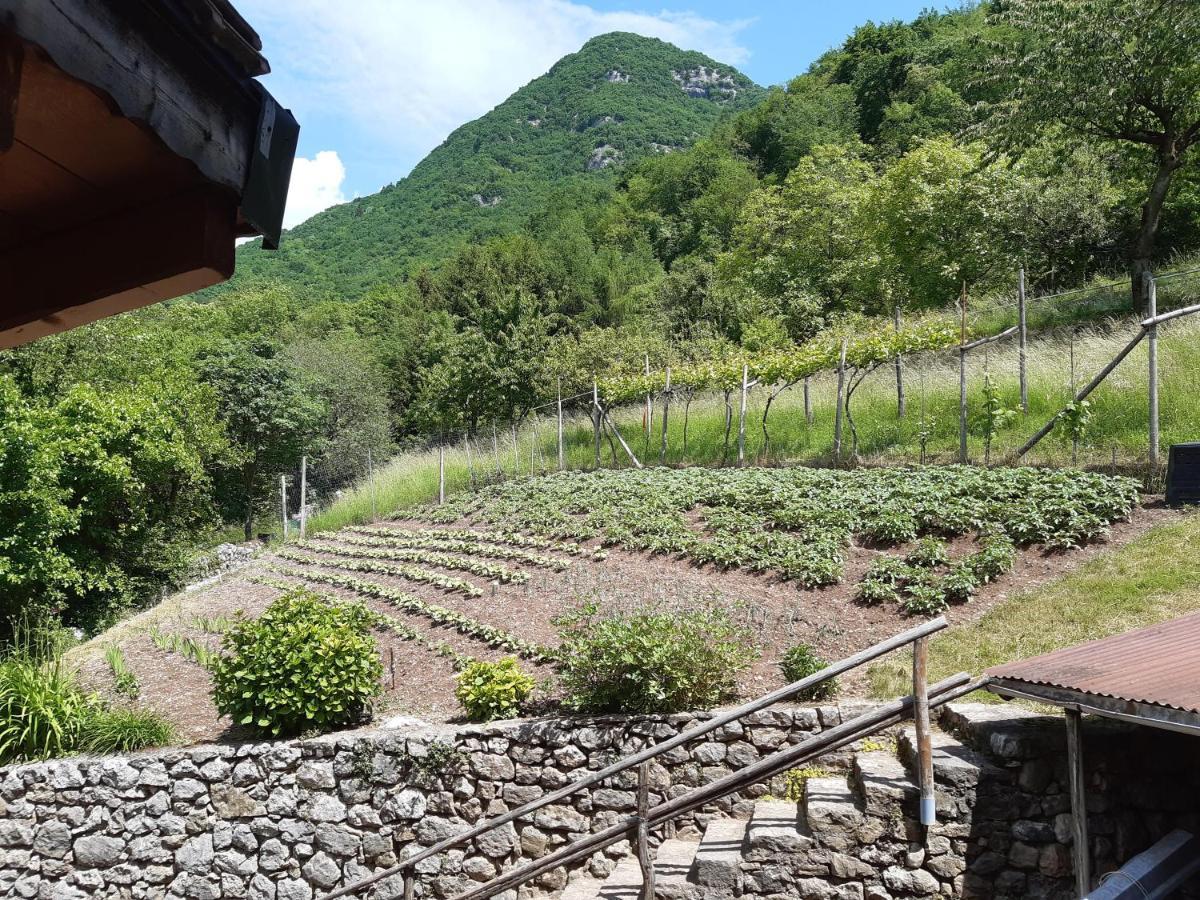 Ca' Berti Appartamento Con Terrazza Ville Del Monte 蒂诺 外观 照片